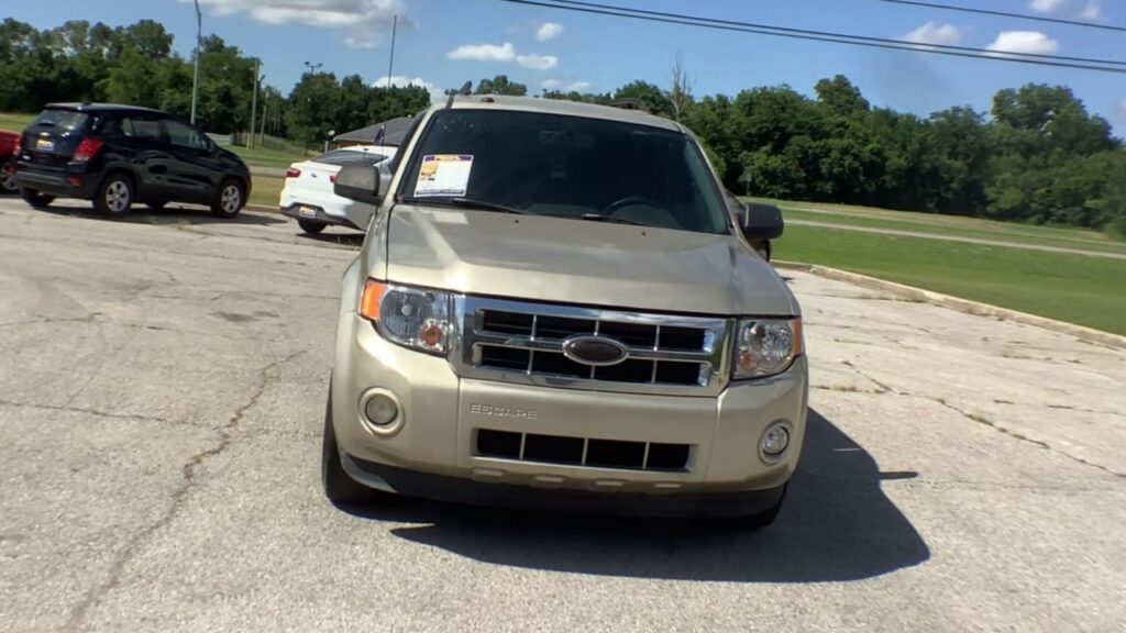 2010 Ford Escape XLT